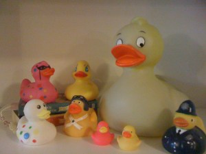 Rubber Ducky Copywriter's Flock 2013