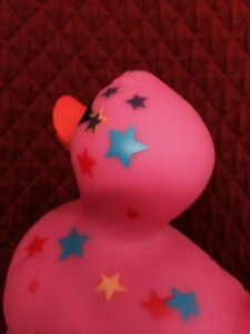 Elusive Rubber Ducky Muse is unamused.