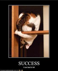 Success Can Lead to Fail