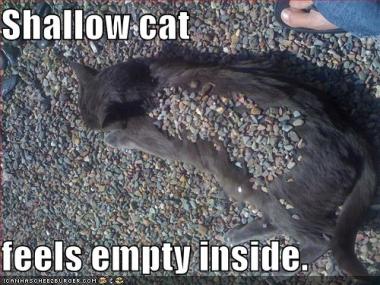 Empty Inside LolCat