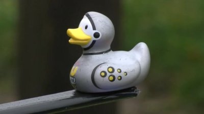 Astroduck rubber ducky goes into space