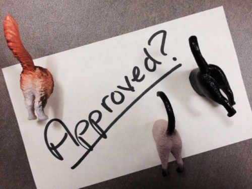 Cat Butt Writing Level