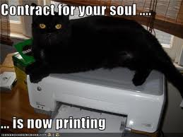 LOLcat - contract for soul