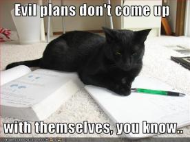 LOLcat - Evil Plans