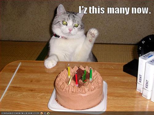 LOLcat birthday