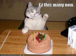 Rubber Ducky Copywriter turns 3