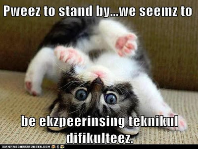 LOLcat please to stand by