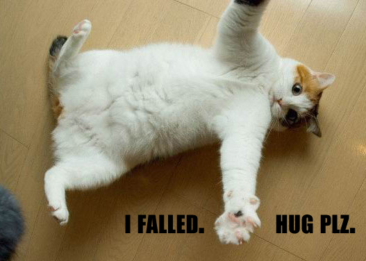 lolcat-failed-hugs
