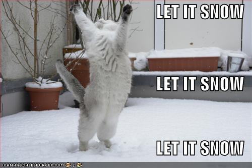 let-it-snow-lolcat