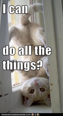 I can do all the thing?
