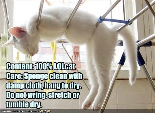 Self-care matters, even to LOLcats