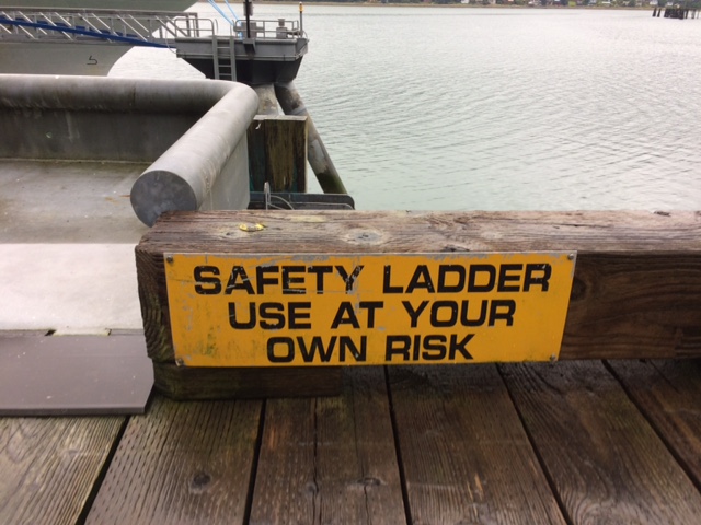 Safety Ladder